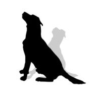 Vector silhouette of a dog N4