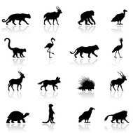 African Animal Silhouettes N6