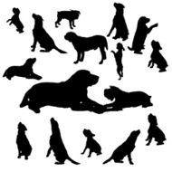 Vector silhouette of a dog N5