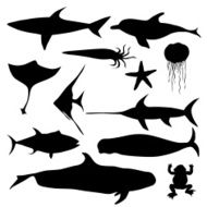Aquatic Animals