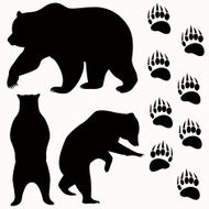 Bear Head N2