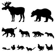 Animals living in taiga Icons set