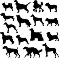Many dogs silhouette