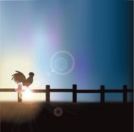 Rooster crowing at sunrise background with copy space