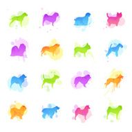 Stains Icons - Dogs
