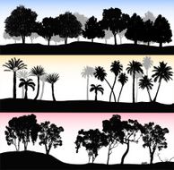 Treelines Trio
