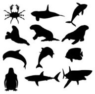 Sea Animal Silhouette Collection