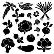 Vegetable icons N4