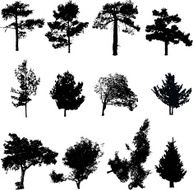 Silhouettes of trees N2