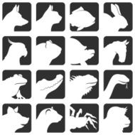 Pets icon set N3