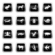 Supergloss Black Icons - Pets