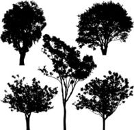 Tree Silhouette Vector N7