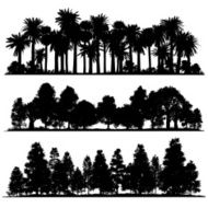 Forest silhouettes