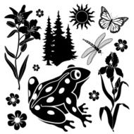 Summer design elements N3