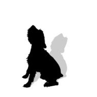 Vector silhouette of a dog N6