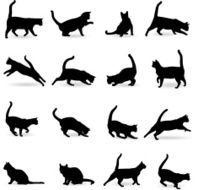 Cats silhouette N2