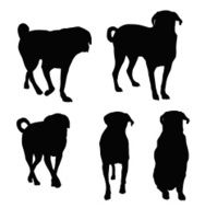 OlderDog