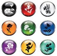 Glosy Floral Buttons