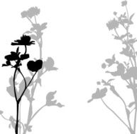 Silhouette of herbs and flowers N2