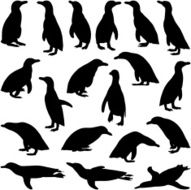 Penguin Silhouette N5