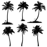Palm Tree Silhouettes