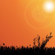 Vector silhouette of meadow