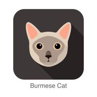 Burmese Cat Cat breed face cartoon flat icon design