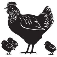 Hen with chicks N2