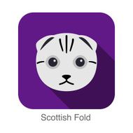 Scottish Fold Cat breed face cartoon flat icon design