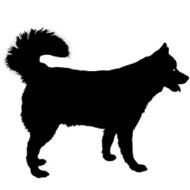 Husky Silhouette