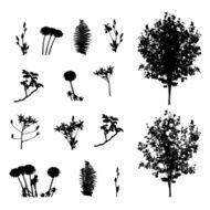 Set of Plant Tree Foliage Elements Silhouette Vector Illustrat