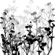 Silhouette of herbs and flowers N3