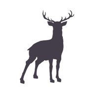 Silhouette of a deer isolated on white