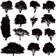 Tree silhouettes N2