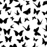 butterfly N92