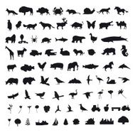 Set icons elements vector illustration