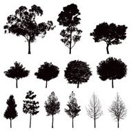 Tree silhouettes N3