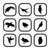 WildBirds