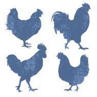 Chicken Silhouette Grunge