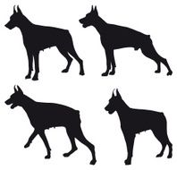 Doberman silhouette