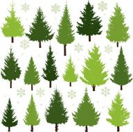 Christmas Trees N20