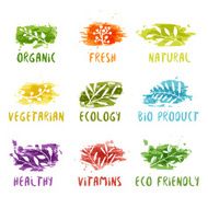 Set of logos with silhouettes plants Colored watercolor spot