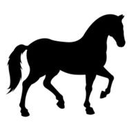 Horse N34