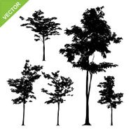Tree silhouettes vector