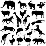 set silhouettes zoo animals