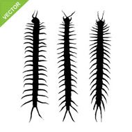 Centipede silhouettes vector