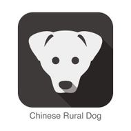 Chinese rural dog face flat icon series