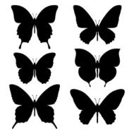 Simple butterfly shapes