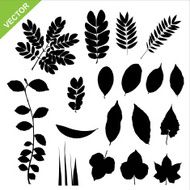 silhouette leaves vector