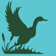 Silhouette of a Duck